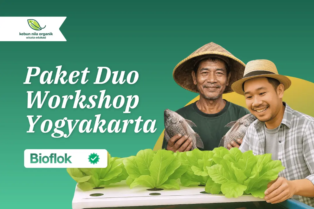 [PAKET DUO] Workshop Pelatihan Menjadi Pengusaha Ikan Nila dengan sistem Bioflok Regional Yogyakarta