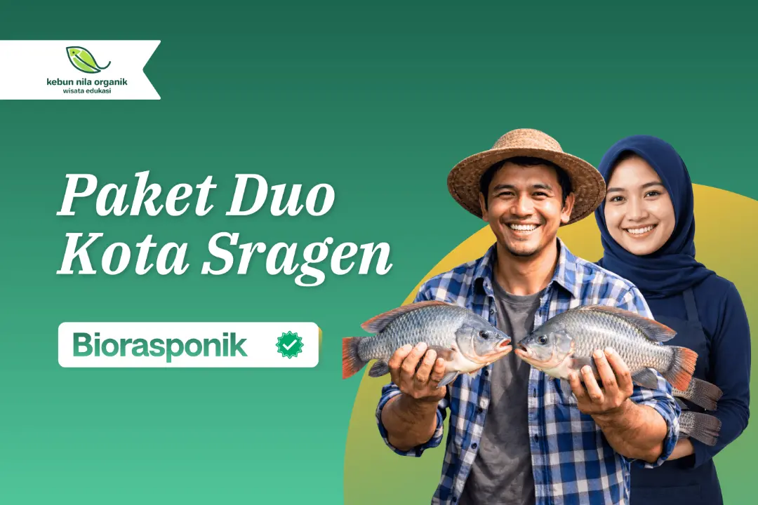[PAKET DUO] Workshop Pelatihan Menjadi Pengusaha Ikan Nila dengan sistem Biorasponik