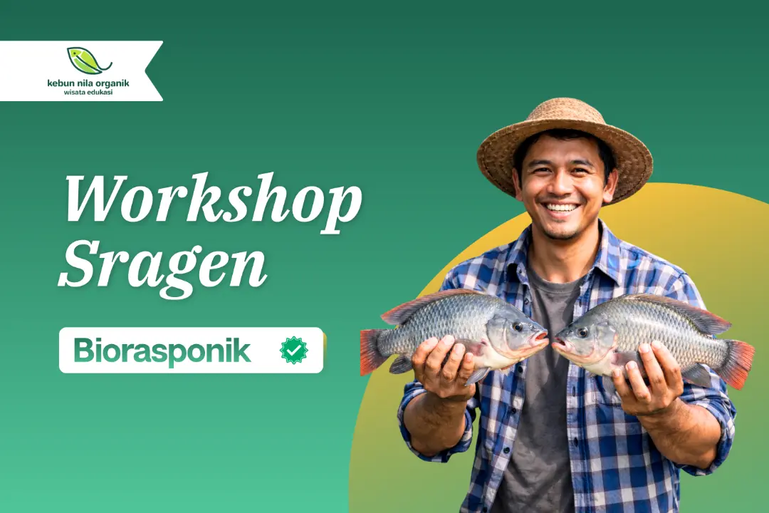 Workshop Pelatihan Menjadi Pengusaha Ikan Nila dengan sistem Biorasponik