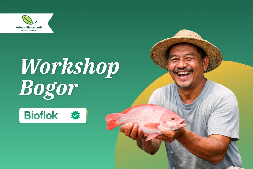Workshop Pelatihan Menjadi Pengusaha Ikan Nila dengan sistem Bioflok Regional Bogor
