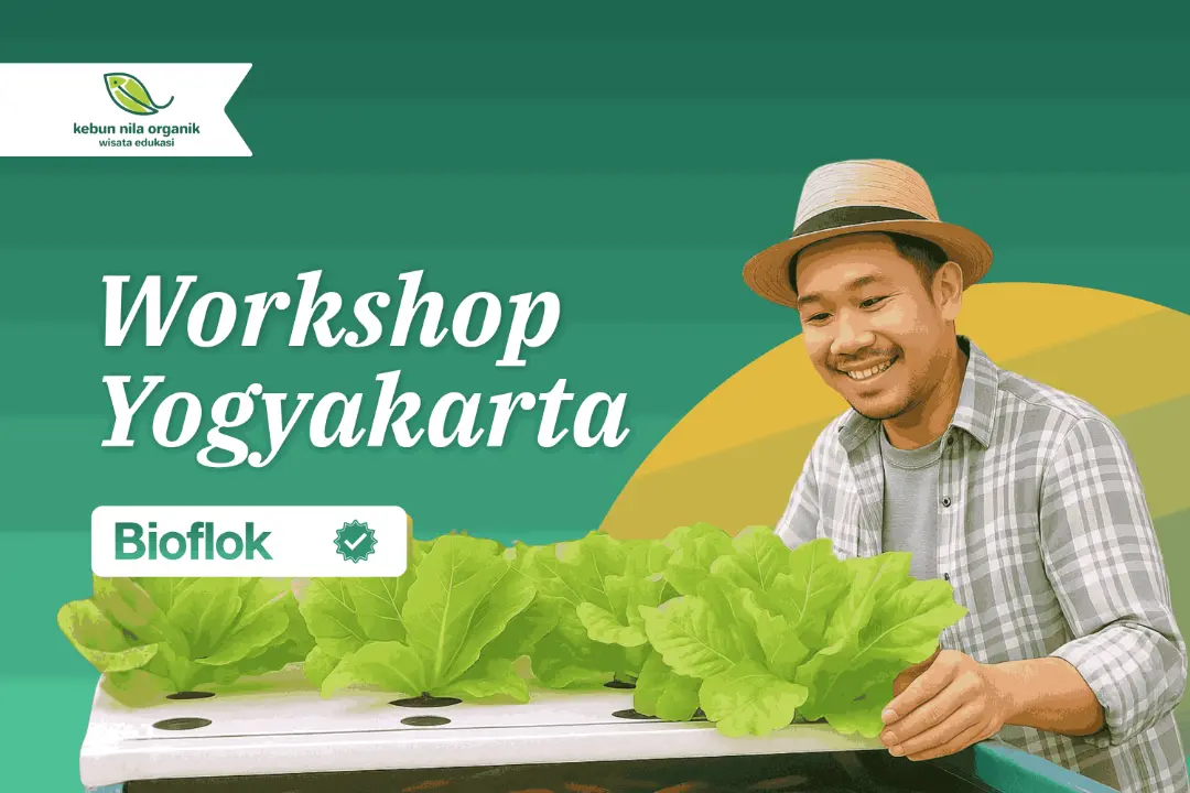 Workshop Pelatihan Menjadi Pengusaha Ikan Nila dengan sistem Bioflok Regional Yogyakarta
