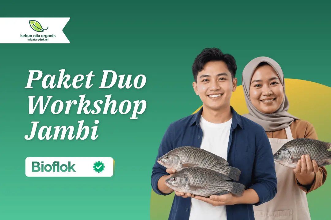 [PAKET DUO] Workshop Pelatihan Menjadi Pengusaha Ikan Nila dengan sistem Bioflok Regional Jambi