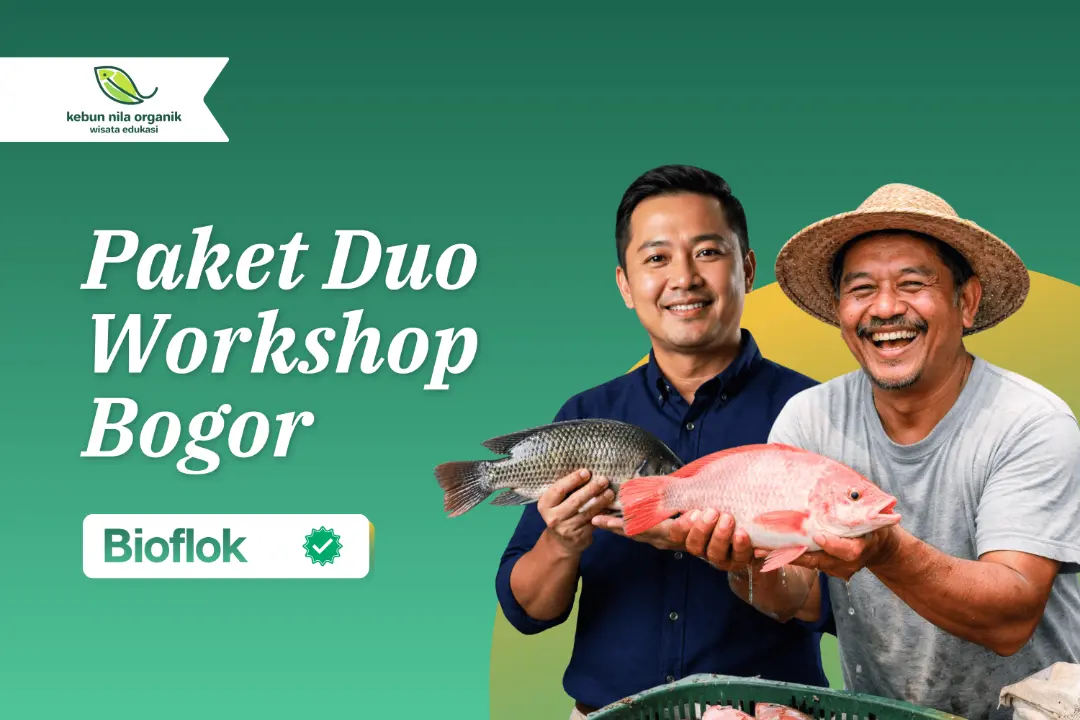 [PAKET DUO] Workshop Pelatihan Menjadi Pengusaha Ikan Nila dengan sistem Bioflok Regional Bogor
